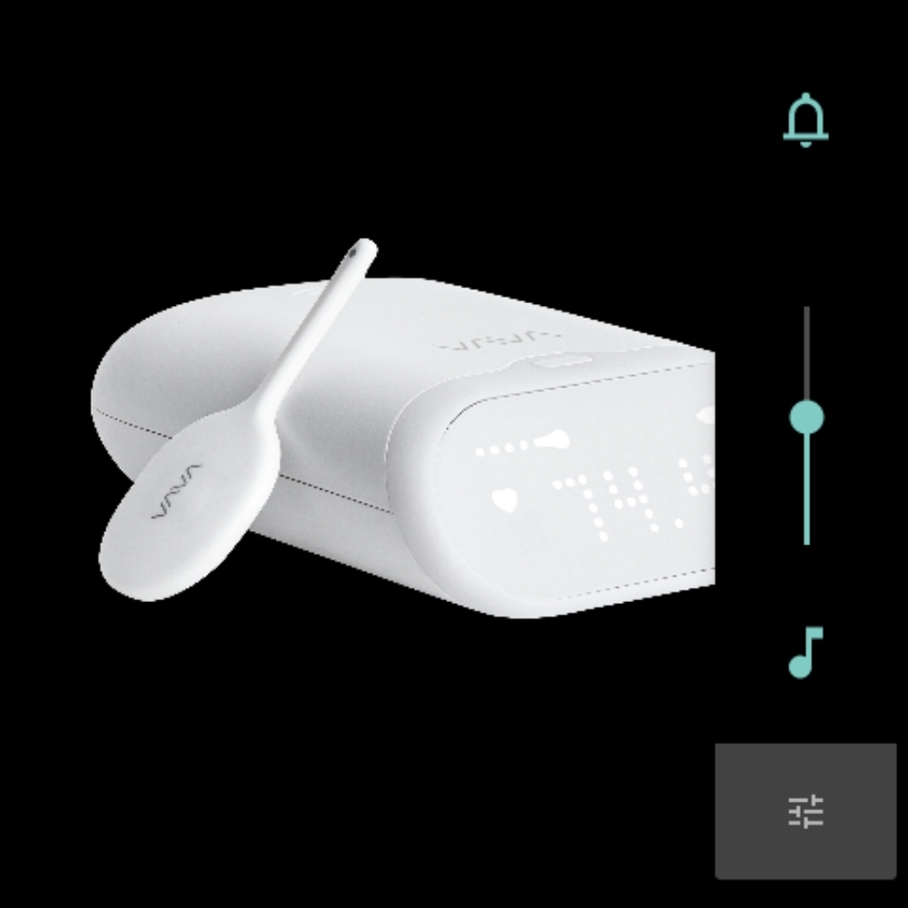 VIVA smart thermometer